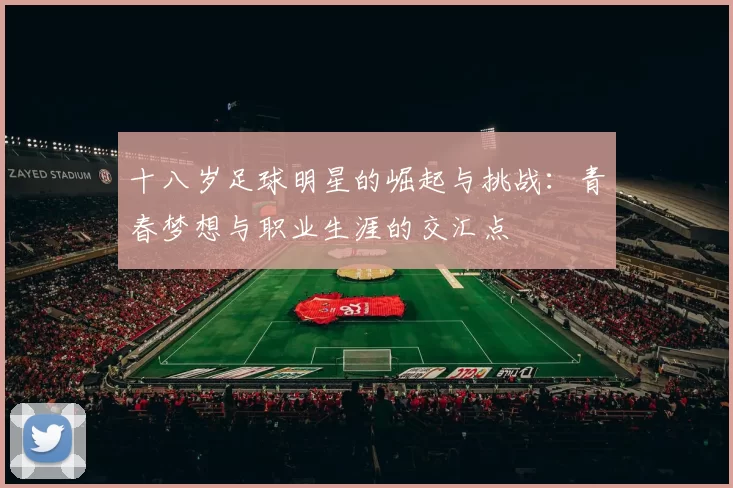 十八岁足球明星的崛起与挑战：青春梦想与职业生涯的交汇点