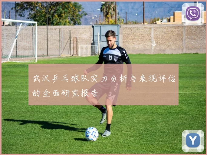 武汉乒乓球队实力分析与表现评估的全面研究报告