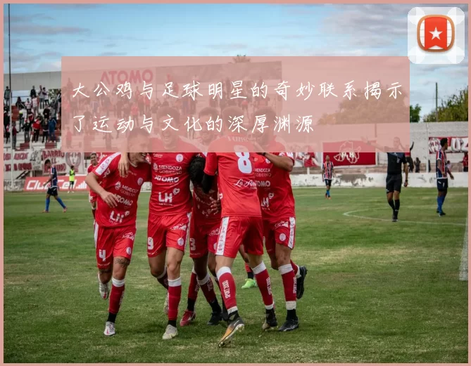 大公鸡与足球明星的奇妙联系揭示了运动与文化的深厚渊源