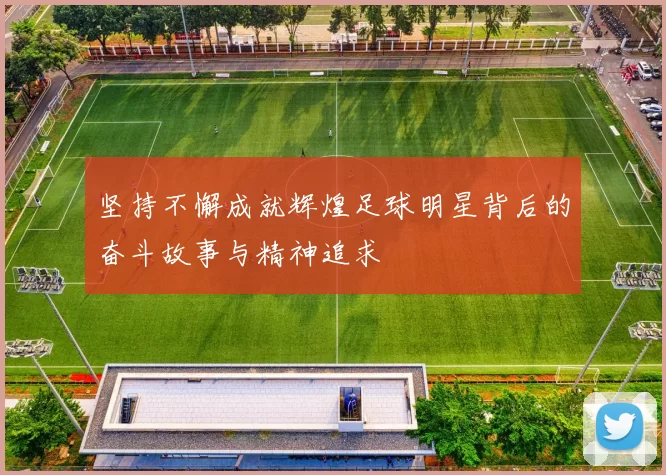 坚持不懈成就辉煌足球明星背后的奋斗故事与精神追求