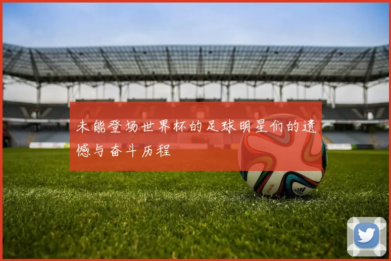 未能登场世界杯的足球明星们的遗憾与奋斗历程