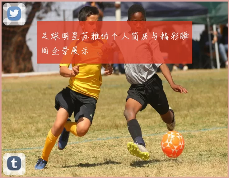 足球明星苏雅的个人简历与精彩瞬间全景展示
