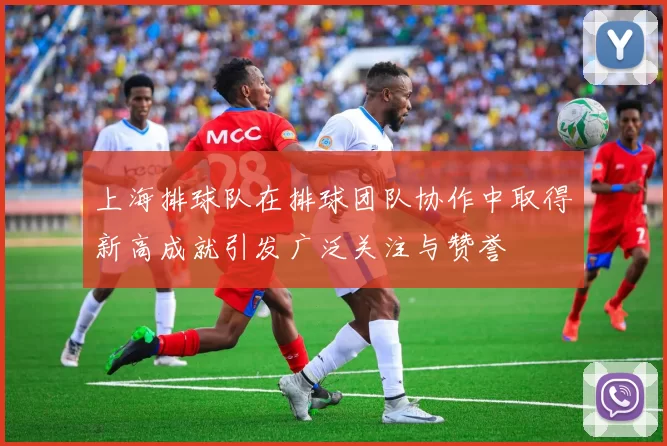 上海排球队在排球团队协作中取得新高成就引发广泛关注与赞誉