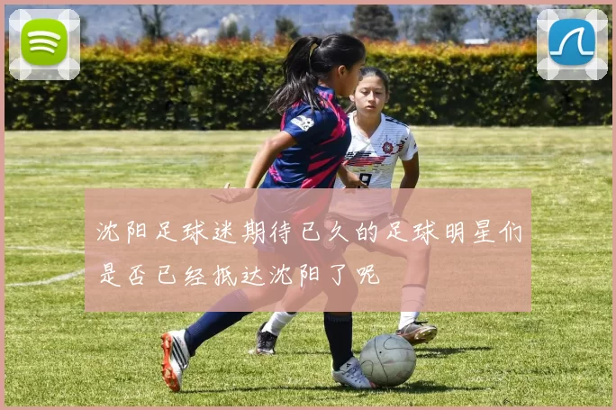 沈阳足球迷期待已久的足球明星们是否已经抵达沈阳了呢