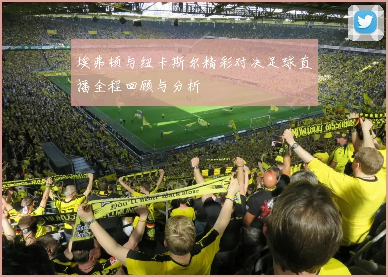 埃弗顿与纽卡斯尔精彩对决足球直播全程回顾与分析