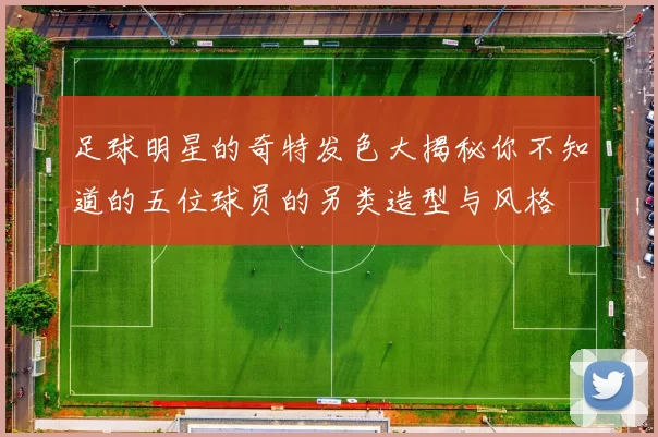 足球明星的奇特发色大揭秘你不知道的五位球员的另类造型与风格