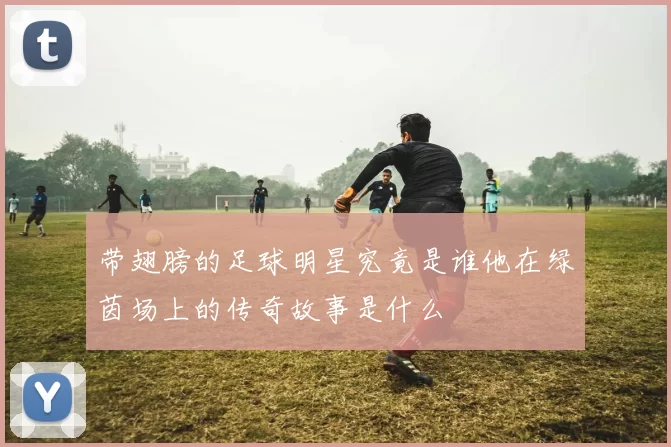 带翅膀的足球明星究竟是谁他在绿茵场上的传奇故事是什么