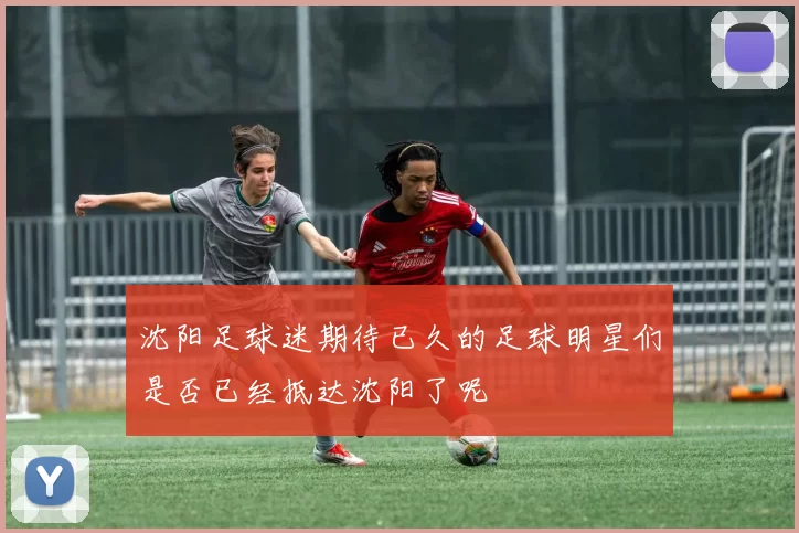 沈阳足球迷期待已久的足球明星们是否已经抵达沈阳了呢
