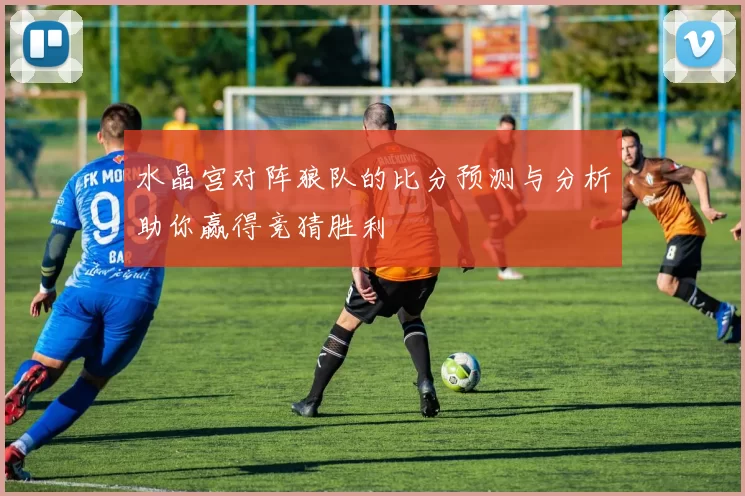 水晶宫对阵狼队的比分预测与分析助你赢得竞猜胜利