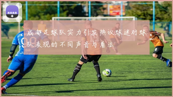 成都足球队实力引发热议球迷对球队表现的不同声音与看法