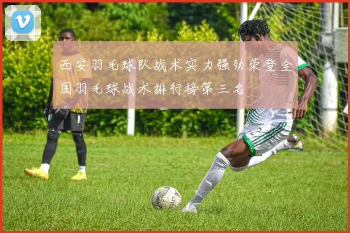 西安羽毛球队战术实力强劲荣登全国羽毛球战术排行榜第三名