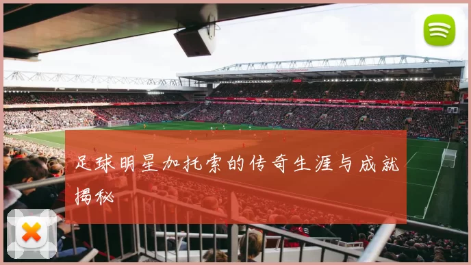 足球明星加托索的传奇生涯与成就揭秘