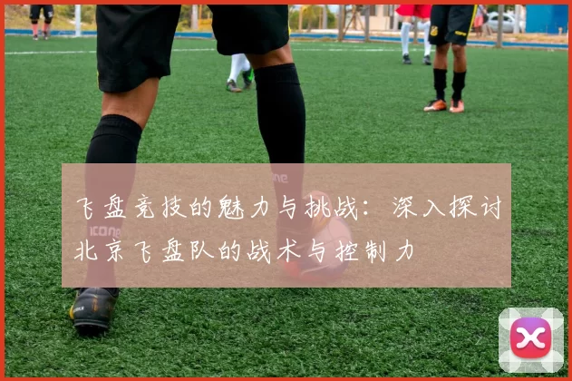 飞盘竞技的魅力与挑战：深入探讨北京飞盘队的战术与控制力