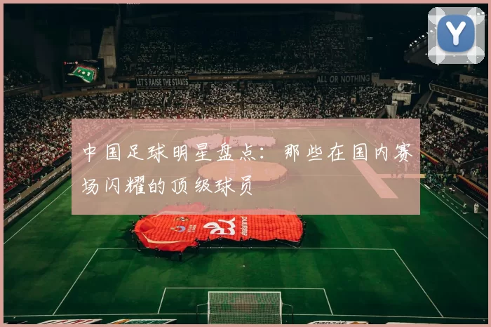 中国足球明星盘点：那些在国内赛场闪耀的顶级球员