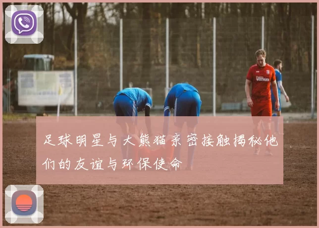 足球明星与大熊猫亲密接触揭秘他们的友谊与环保使命