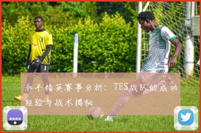 和平精英赛事分析：TES战队的成功经验与战术揭秘