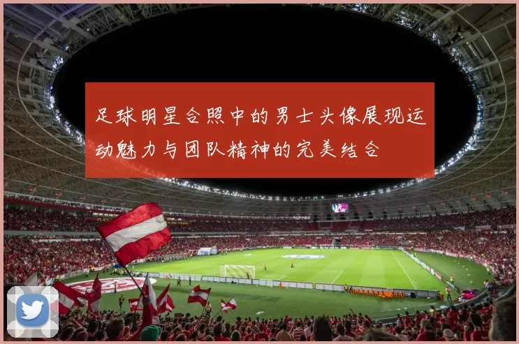足球明星合照中的男士头像展现运动魅力与团队精神的完美结合
