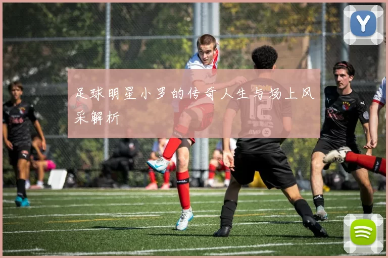 足球明星小罗的传奇人生与场上风采解析