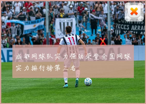 成都网球队实力强劲荣登全国网球实力排行榜第三名