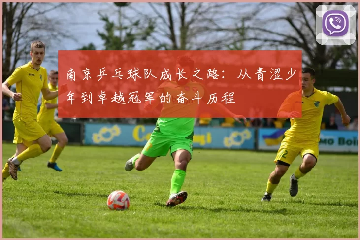 南京乒乓球队成长之路：从青涩少年到卓越冠军的奋斗历程
