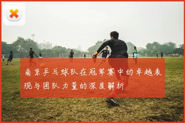 南京乒乓球队在冠军赛中的卓越表现与团队力量的深度解析