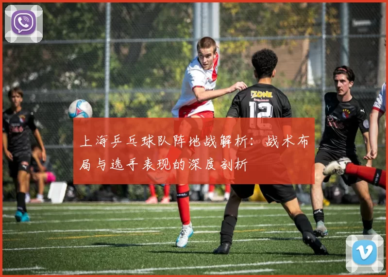 上海乒乓球队阵地战解析：战术布局与选手表现的深度剖析