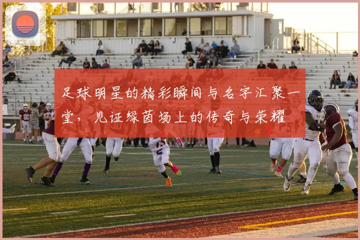 足球明星的精彩瞬间与名字汇聚一堂，见证绿茵场上的传奇与荣耀