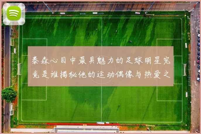 泰森心目中最具魅力的足球明星究竟是谁揭秘他的运动偶像与热爱之路