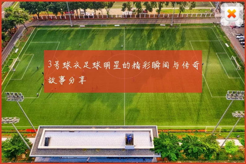 3号球衣足球明星的精彩瞬间与传奇故事分享