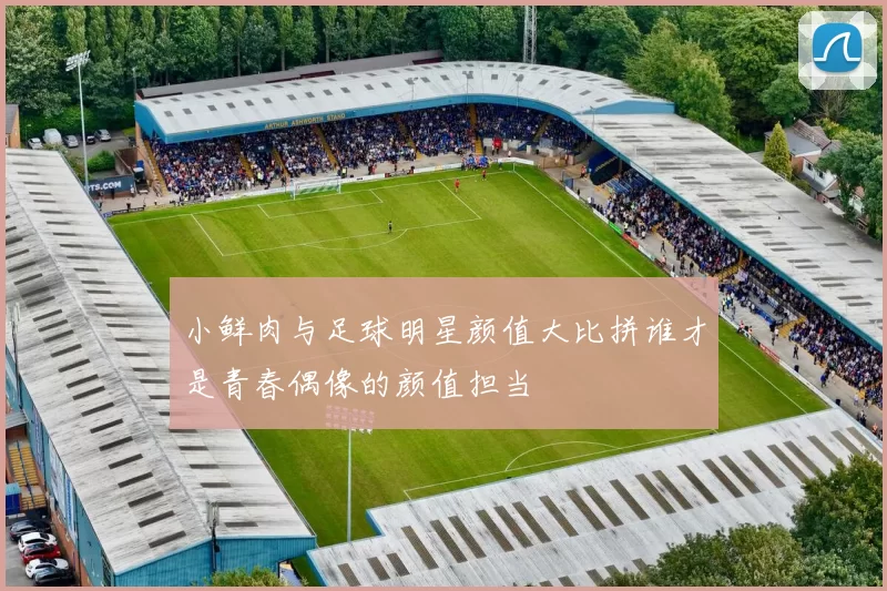 小鲜肉与足球明星颜值大比拼谁才是青春偶像的颜值担当